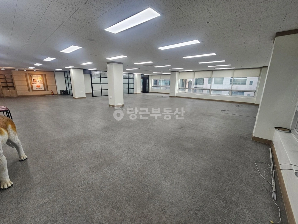 대전광역시 서구 둔산동 상가 사진 1