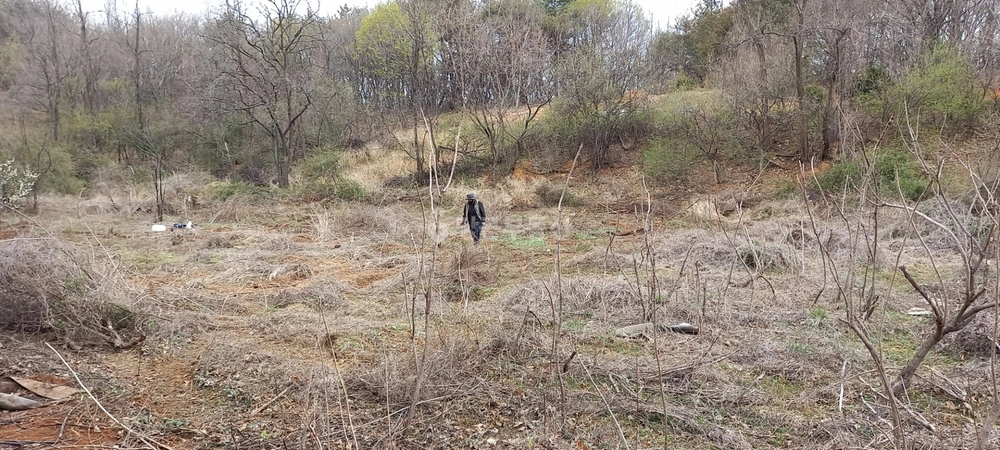 경상북도 상주시 화서면 토지 사진 1