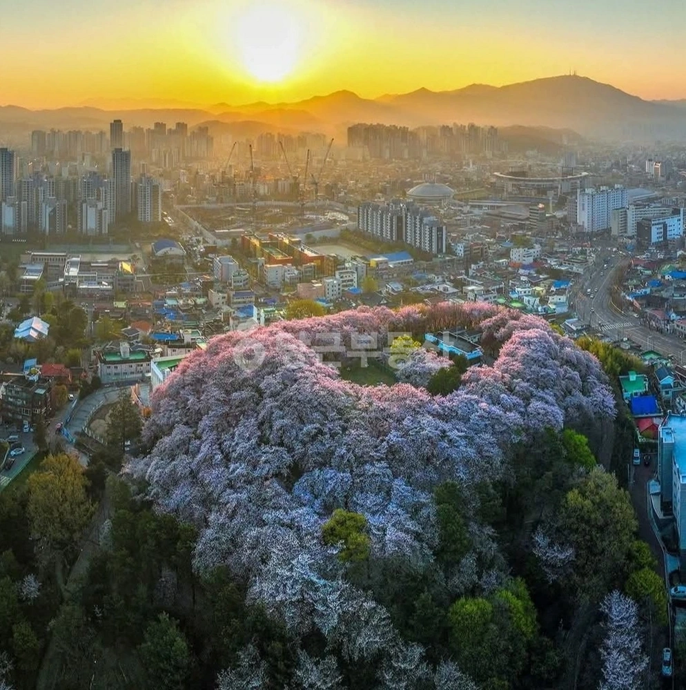 대전광역시 중구 문화동 아파트 사진 1