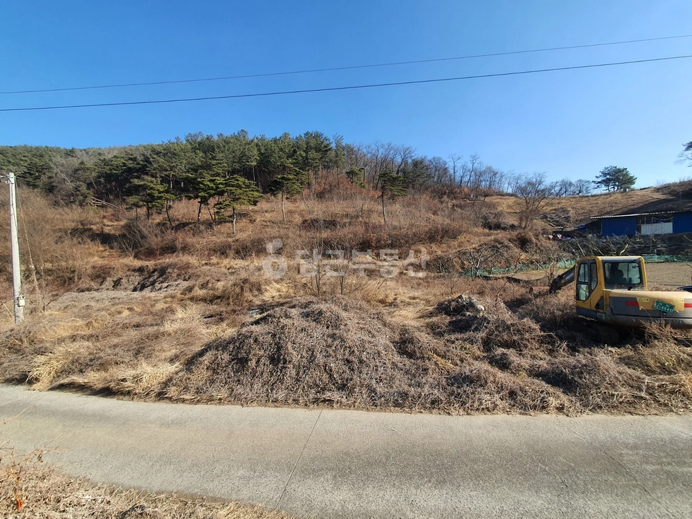 경상북도 청도군 풍각면 토지 사진 1