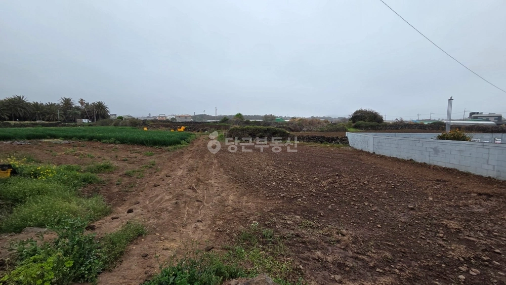 제주특별자치도 제주시 애월읍 토지 사진 1