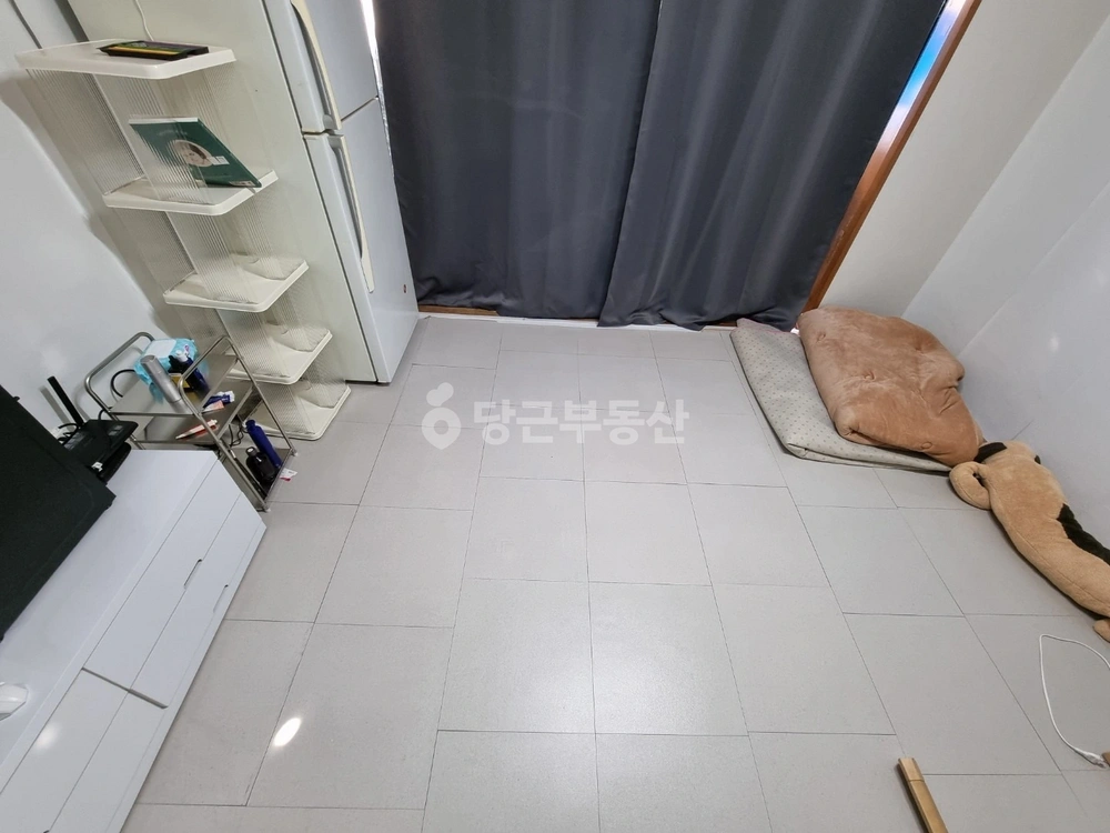 대전광역시 서구 괴정동 원룸 사진 1