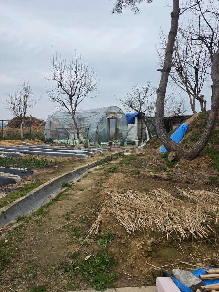 전북특별자치도 임실군 오수면 단독/전원주택 사진 1