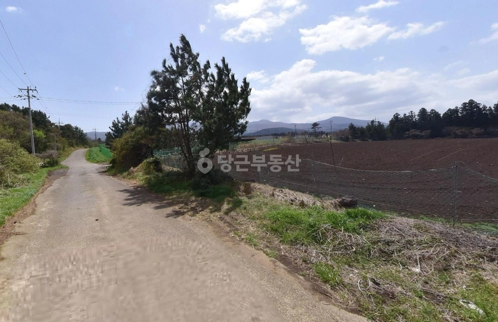 제주특별자치도 제주시 오등동 토지 사진 1