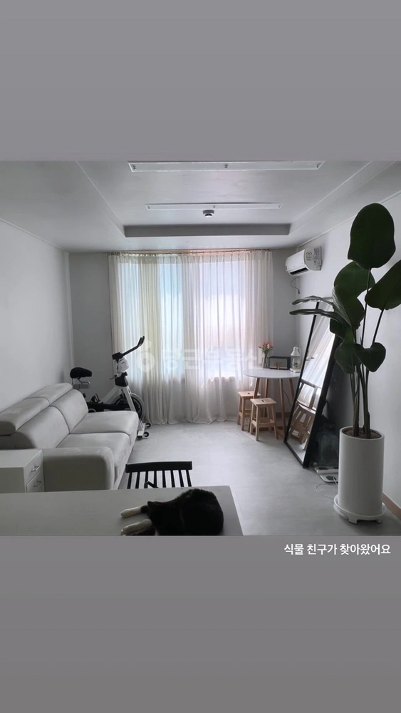 대전광역시 중구 선화동 오피스텔 사진 1