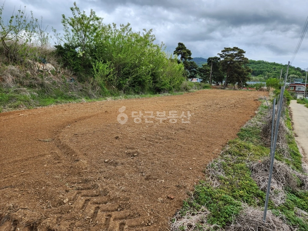 경상북도 성주군 월항면 토지 사진 1