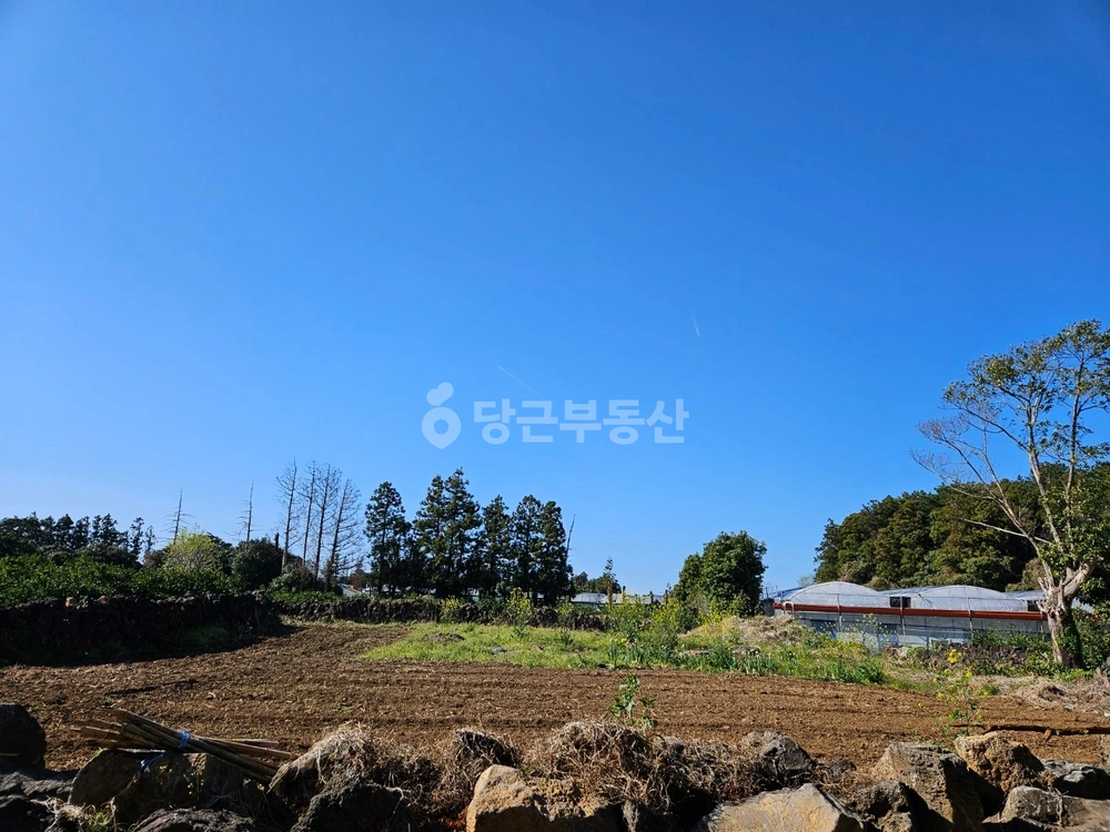 제주특별자치도 서귀포시 남원읍 토지 사진 1