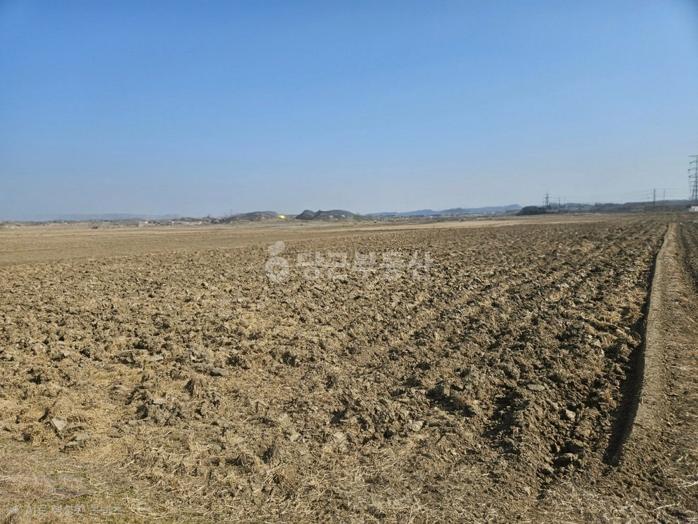 경기도 파주시 파주읍 토지 사진 1