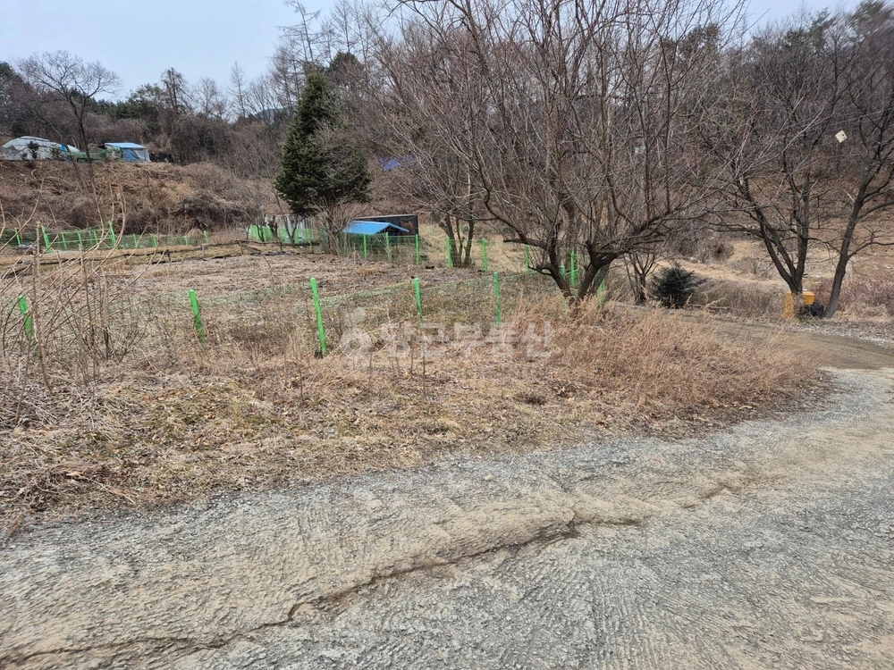 경기도 가평군 상면 토지 사진 1