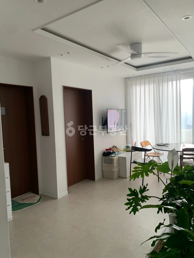 제주특별자치도 제주시 삼도2동 단독/전원주택 사진 1