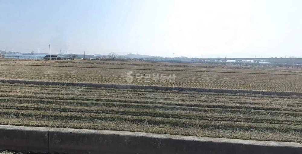 충청남도 천안시 서북구 입장면 토지 사진 1