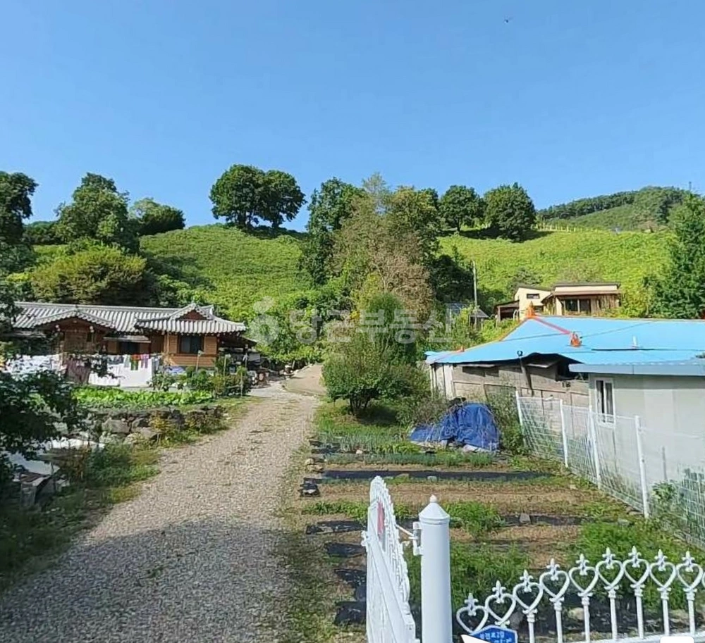 충청북도 제천시 덕산면 토지 사진 1