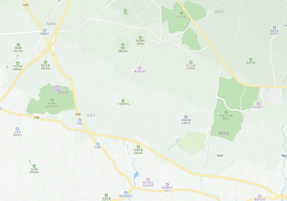 제주특별자치도 서귀포시 상예동 토지 사진 1