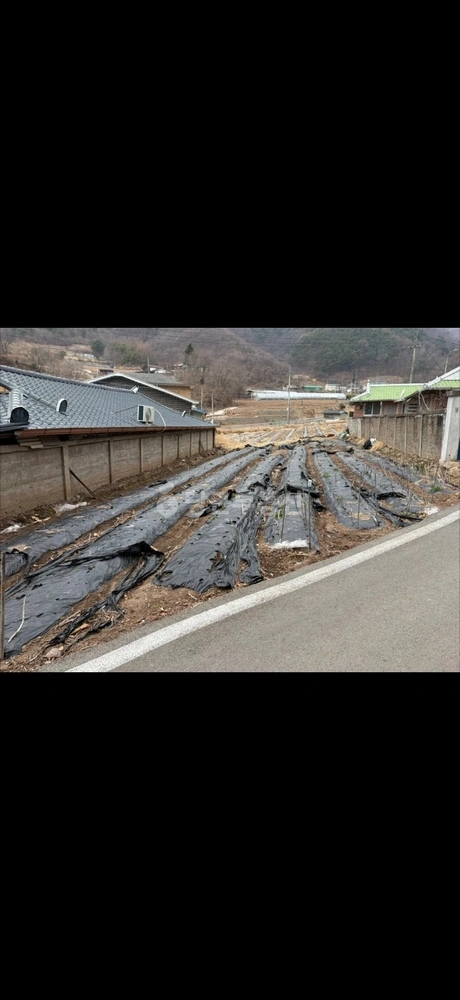 경상북도 영양군 영양읍 토지 사진 1