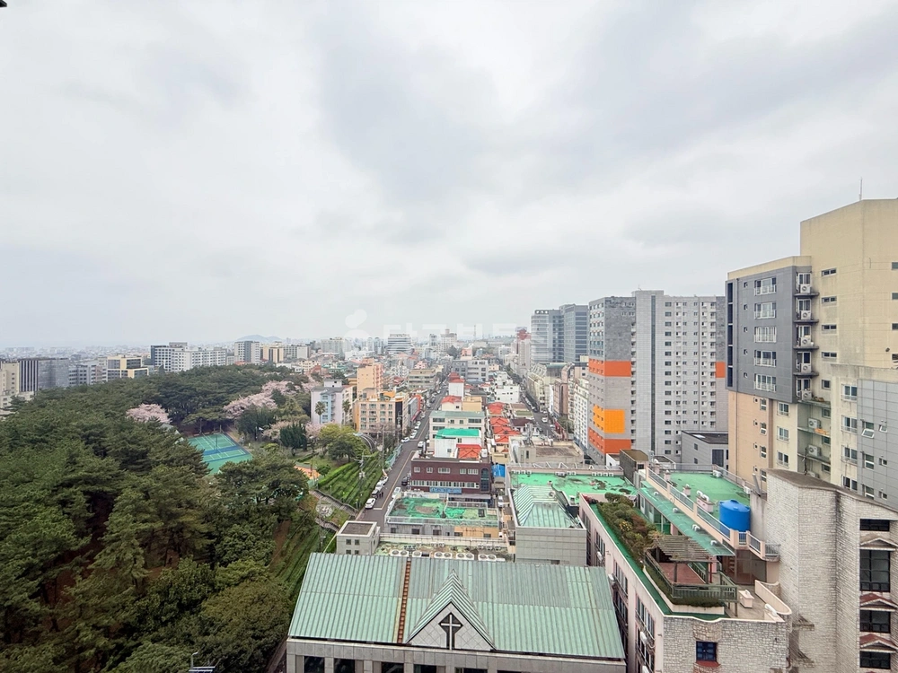 제주특별자치도 제주시 연동 원룸 사진 1