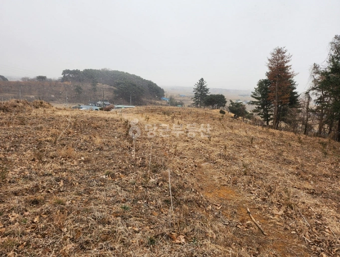 충청남도 예산군 봉산면 토지 사진 1