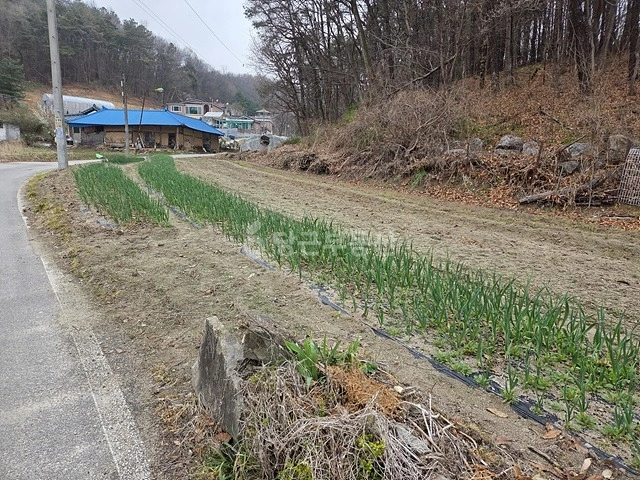 경기도 여주시 북내면 토지 사진 1