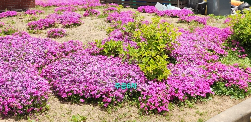 전북특별자치도 익산시 어양동 아파트 사진 1