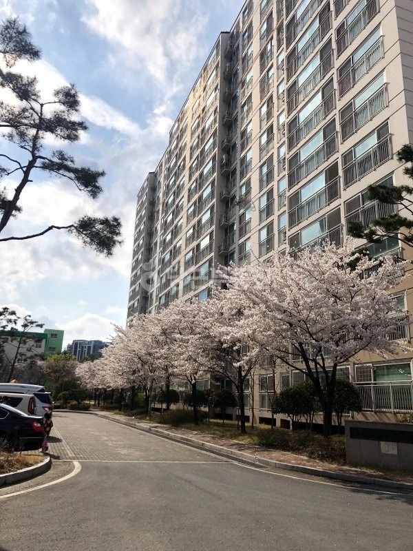 대구광역시 북구 복현동 아파트 사진 1