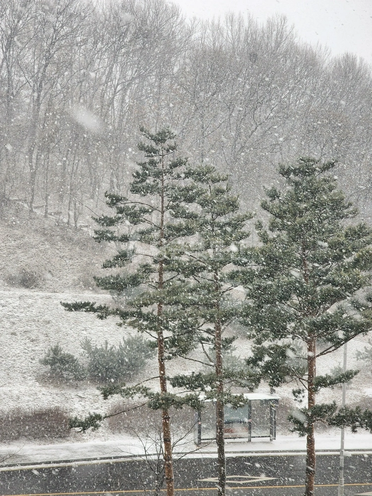 경기도 김포시 마산동 아파트 사진 1