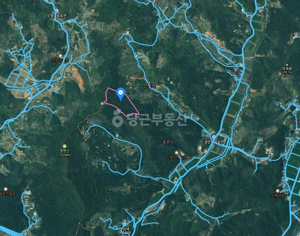 경상남도 산청군 신안면 토지 사진 1