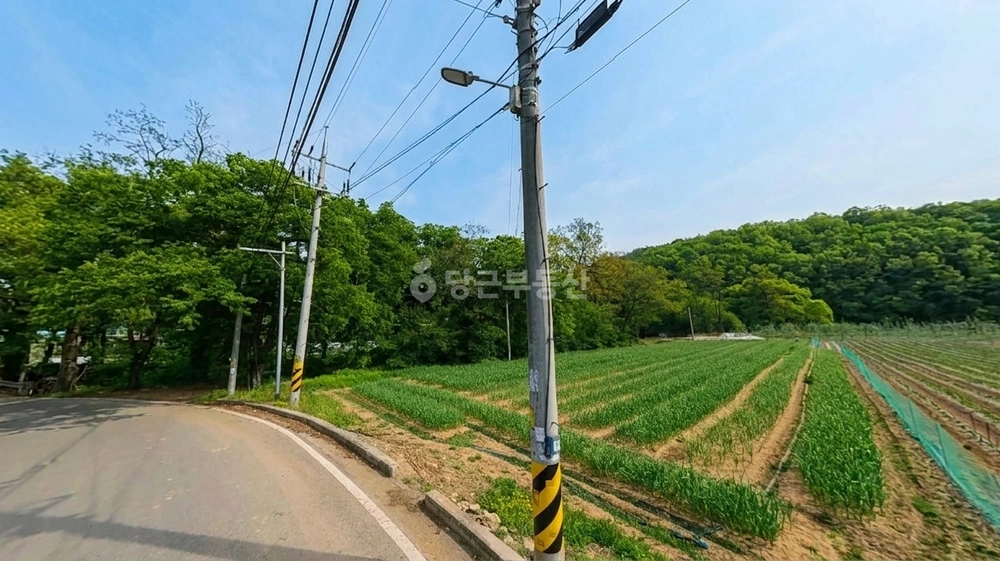 경상북도 의성군 단촌면 토지 사진 1
