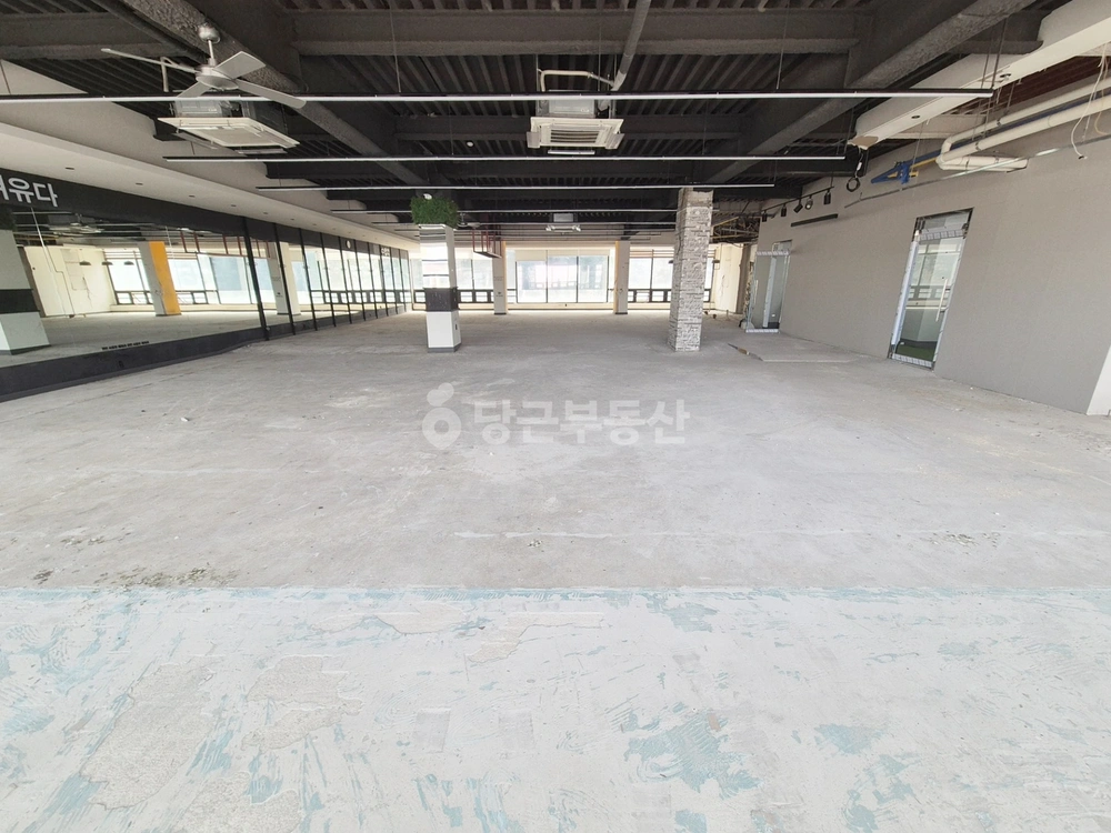 강원특별자치도 속초시 조양동 상가 사진 1