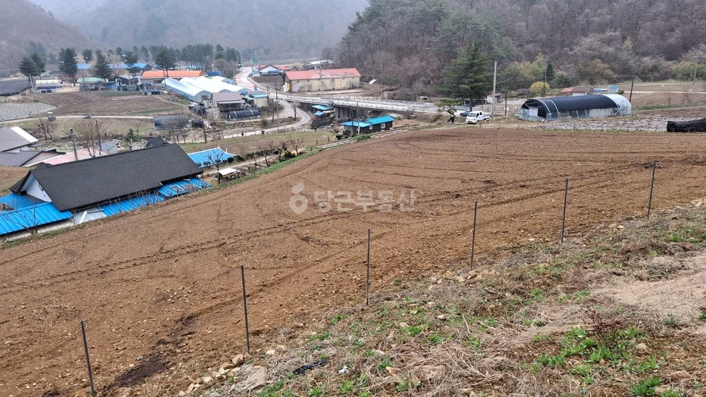 강원특별자치도 횡성군 청일면 토지 사진 1
