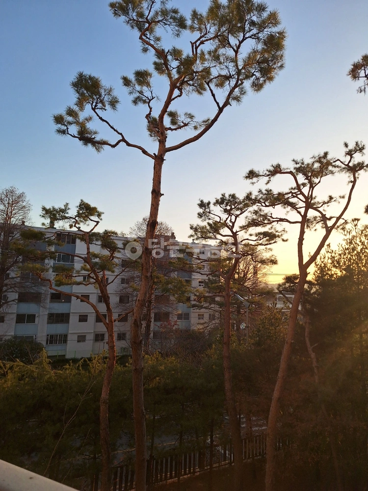 경상남도 창원시 진해구 석동 아파트 사진 1