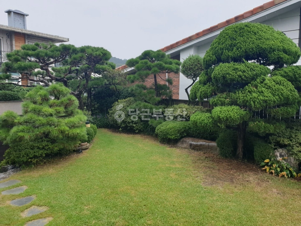 서울특별시 서대문구 연희동 단독/전원주택 사진 1