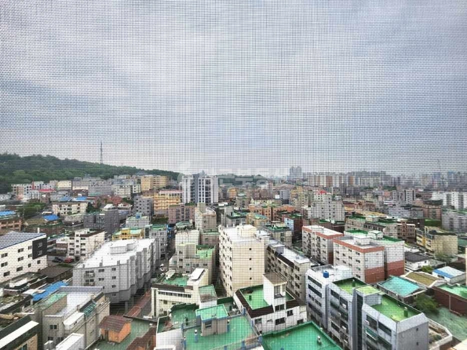 인천광역시 미추홀구 도화동 오피스텔 사진 1