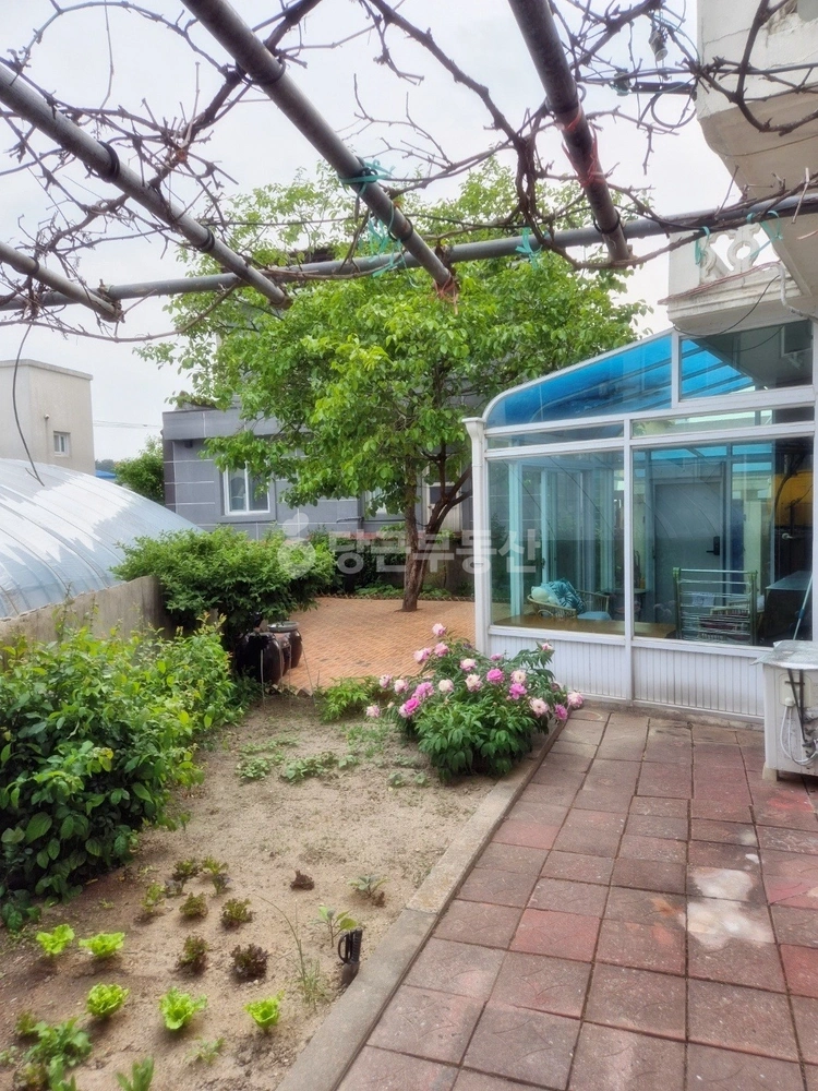 강원특별자치도 강릉시 노암동 단독/전원주택 사진 1