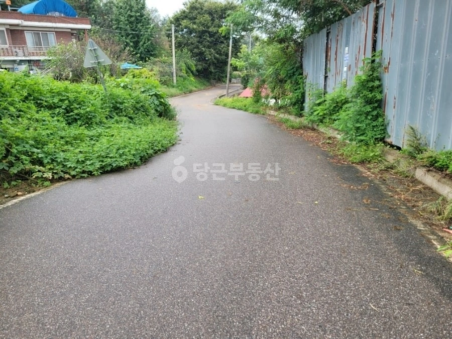 경기도 평택시 팽성읍 토지 사진 1