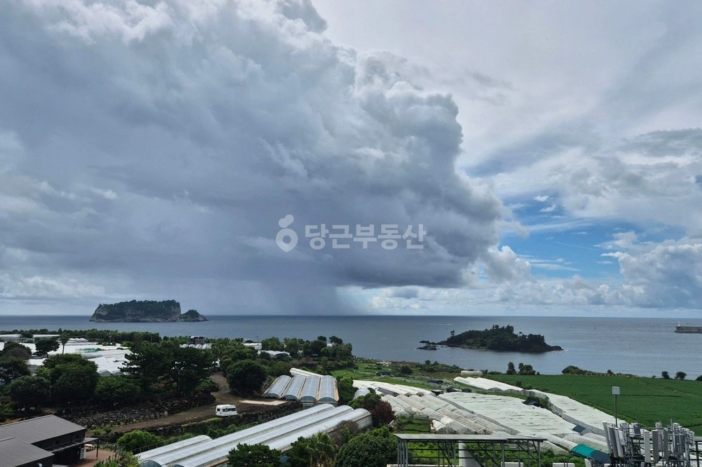 제주특별자치도 서귀포시 강정동 건물 사진 1