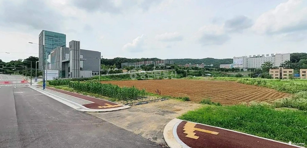 경기도 평택시 장안동 토지 사진 1