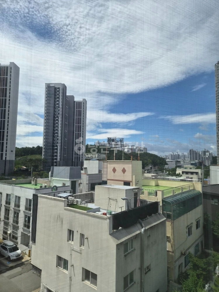 경상북도 포항시 북구 장성동 아파트 사진 1