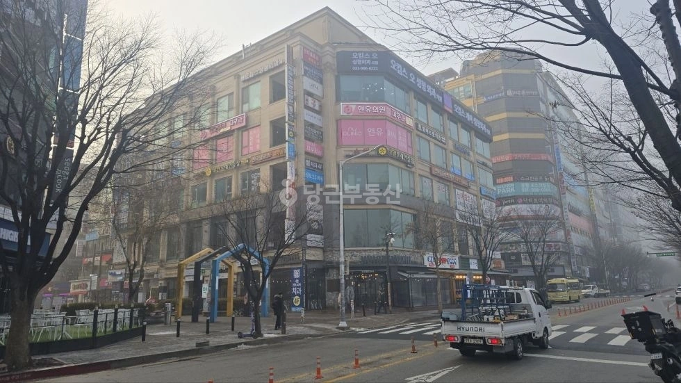 경기도 고양시 일산동구 장항동 상가 사진 1