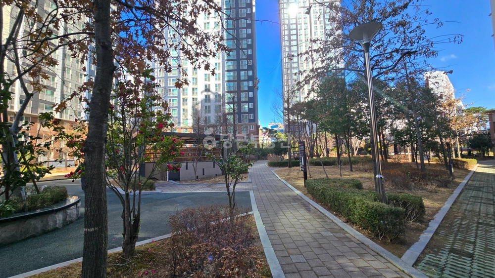 부산광역시 강서구 명지동 아파트 사진 1
