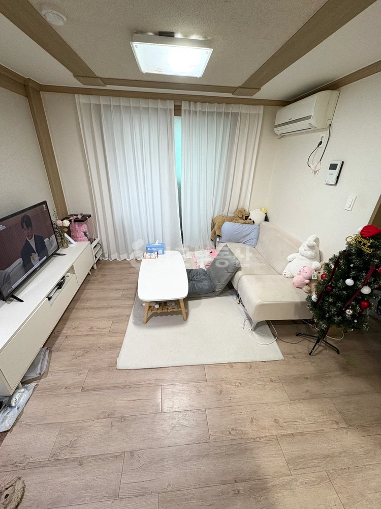 대전광역시 유성구 궁동 빌라(투룸 이상) 사진 1
