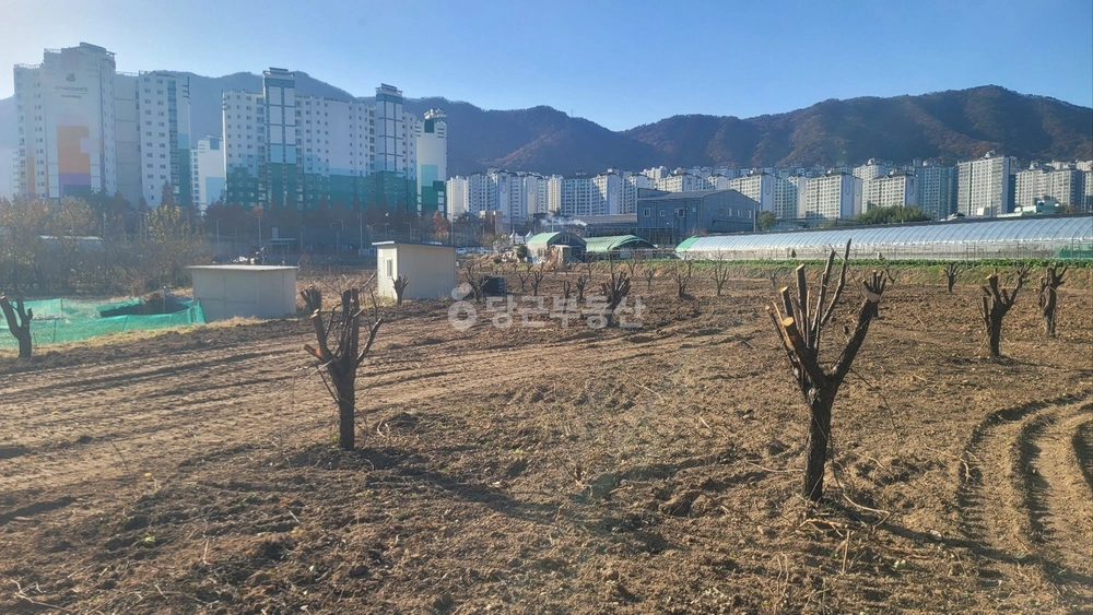 부산광역시 기장군 정관읍 토지 사진 1