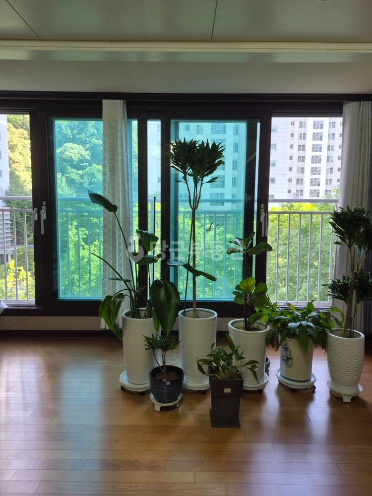 충청남도 공주시 금학동 아파트 사진 1