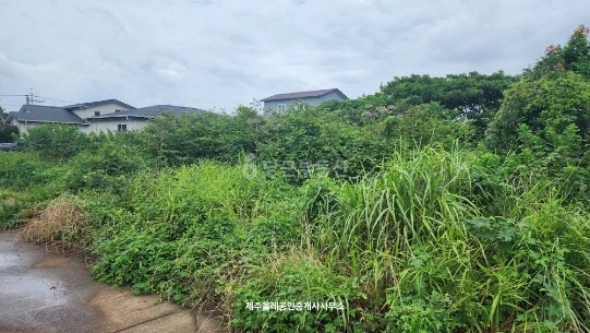 제주특별자치도 서귀포시 표선면 토지 사진 1