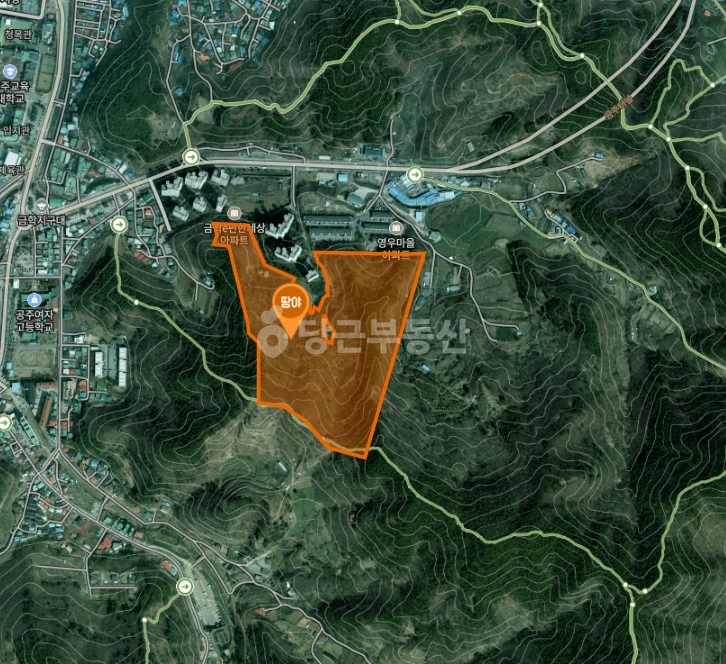 충청남도 공주시 금학동 토지 사진 1