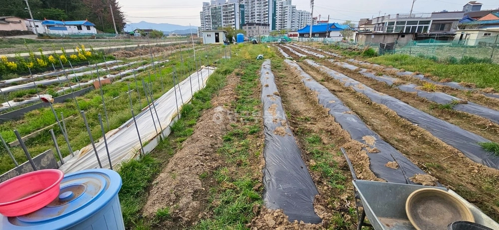 경상북도 포항시 북구 흥해읍 토지 사진 1