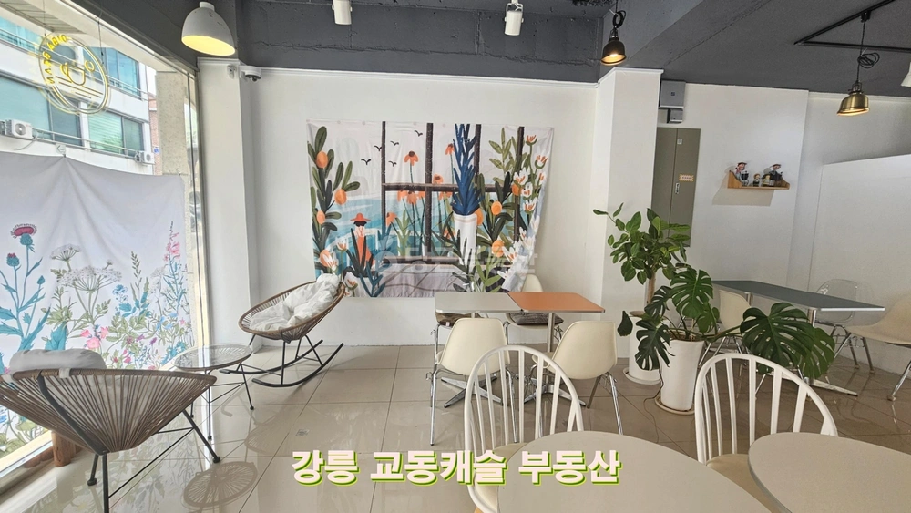 강원특별자치도 강릉시 교동 상가 사진 1