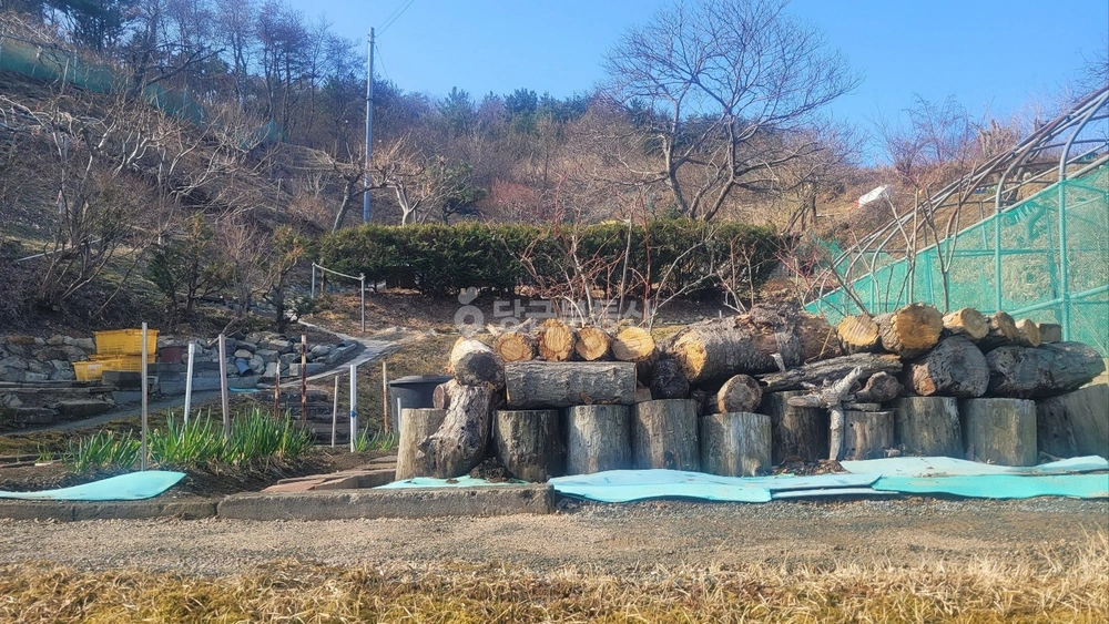 부산광역시 기장군 철마면 토지 사진 1