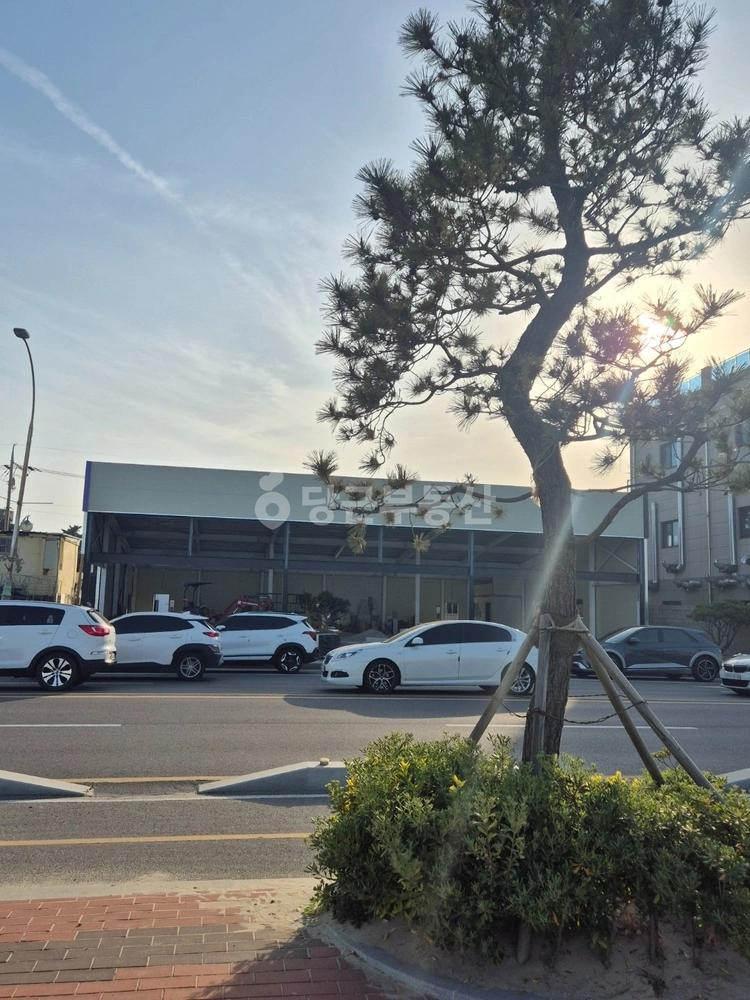 경상북도 포항시 남구 송도동 상가 사진 1