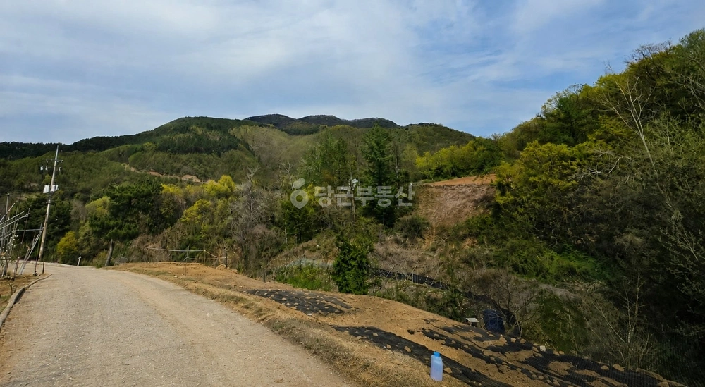 충청북도 옥천군 청성면 토지 사진 1