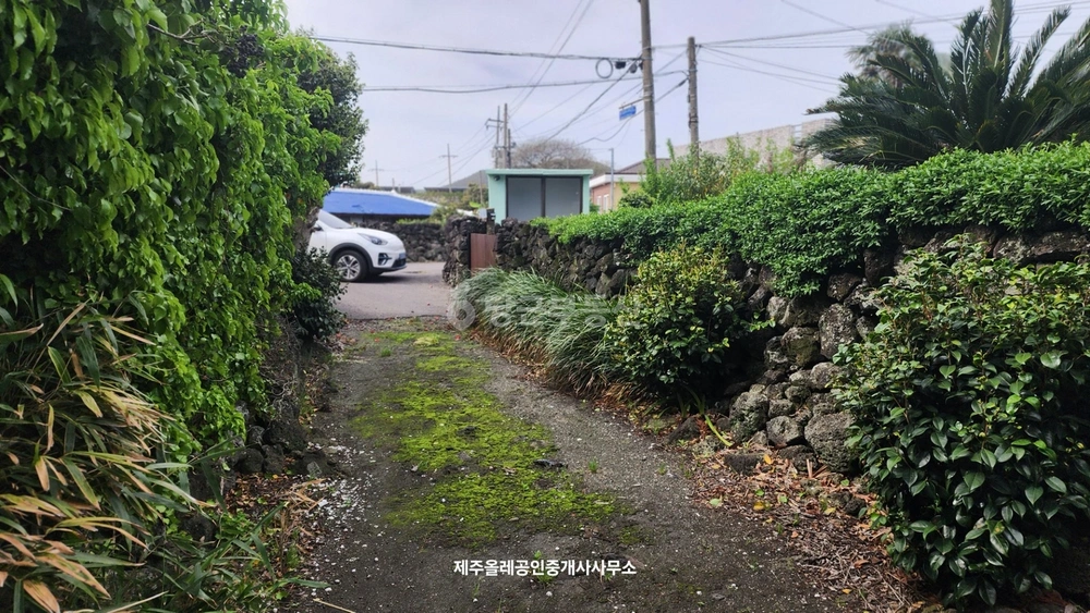 제주특별자치도 서귀포시 성산읍 토지 사진 1