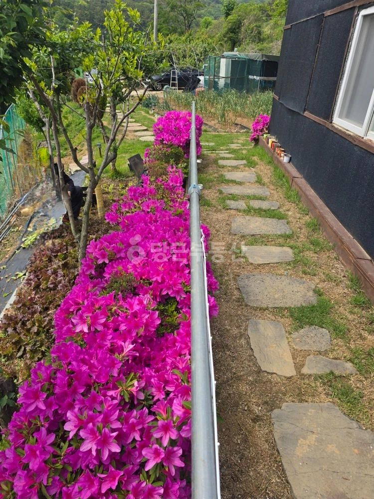 부산광역시 기장군 철마면 토지 사진 1